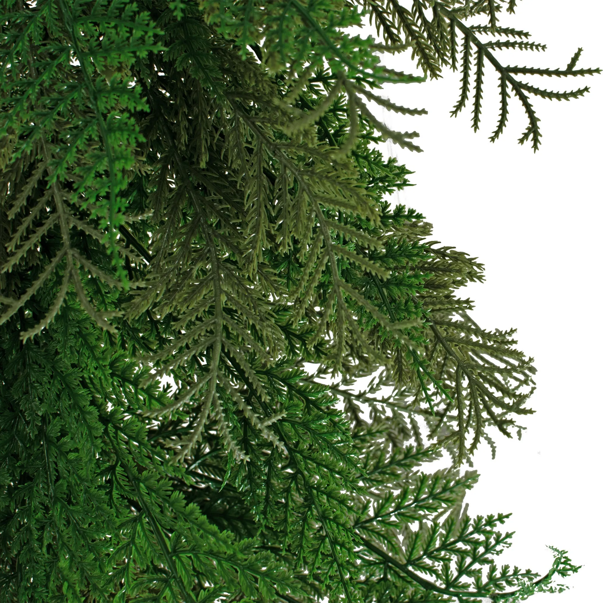 6FT Flocked Cedar and Cypress Garland