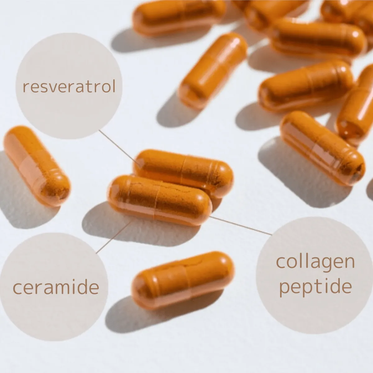 [Resveratrol, ceramide and collagen] Beauty Support  Supplement