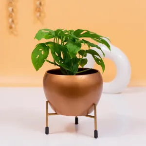 Royal Golden Decorative Metal Pot with Stand